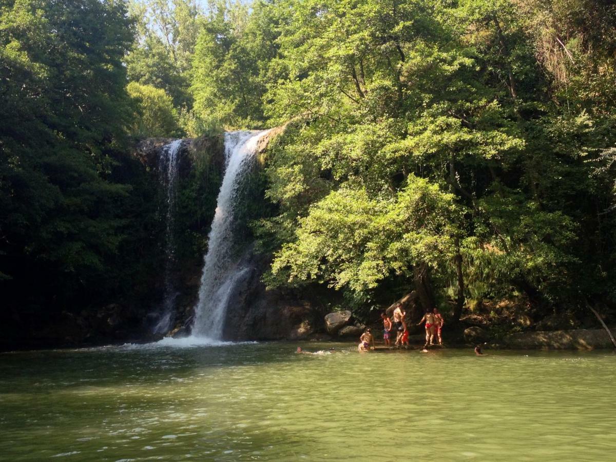 Can Nofre - Masia Familiar En Zona Tranquila Amer Zewnętrze zdjęcie